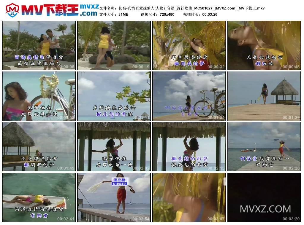 佚名-真情真爱拢骗人(人物)_台语_流行歌曲_MC501027